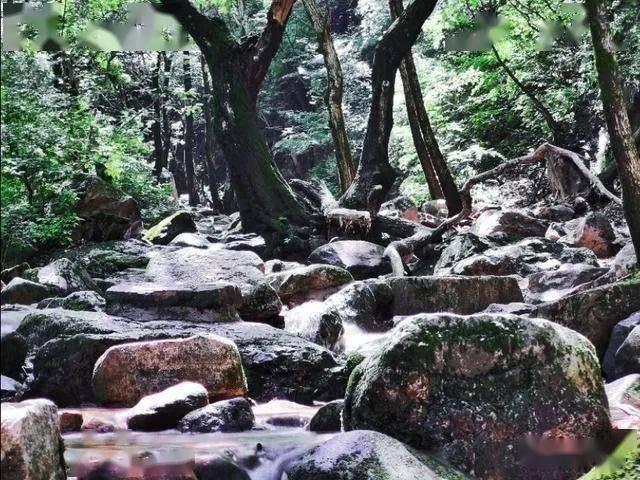 春雪食品:低温(冷链)物流业务由第三方物流从公司厂区冷藏库外运